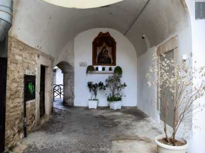 Per incontrare tra vasi e piante l�immagine della Madonna di Costantinopoli, non ci allontaniamo di molto: ci rechiamo infatti in via Alfieri, alle spalle della gi� citata chiesa di San Domenico, che fu eretta su una precedente cappella dedicata proprio a questa madonna